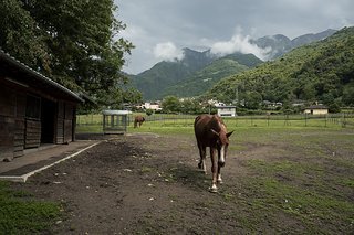 Der Blick aus dem Küchenfenster überrascht