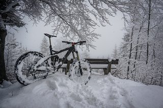 Im Allgäuer Schnee.
