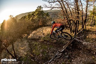 Auf natürlichen Trails wie diesem, mit dem ein oder anderen Sprung und einer spaßigen Streckenführung, könnte man sich mit dem Alutech CheapTrick ewig aufhalten.
