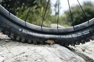 Der neue Schwalbe Albert mit Radial-Karkasse fühlt sich deutlich smoother an als herkömmliche Schwalbe-Modelle