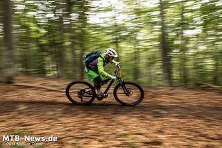 Lisa zischt durch den Wald Lisa zischt durch den Wald