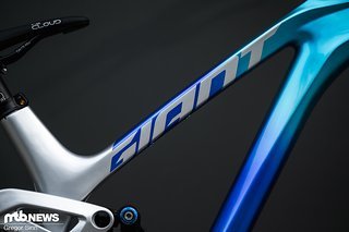 Giant-Remi-Thirion-3134