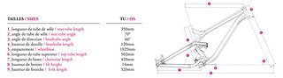 geometry geometry