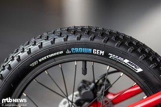 Für Kontrolle, Dämpfung und Grip sorgen an allen Bikes fette Veetire-Reifen.