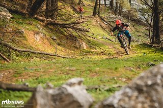 Eukalyptus-Duft und ein schneller, überaus flowiger Trail bergab. Hammer!