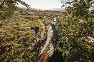 Südafrika gehört auf Grund der Vielfalt zu den Lieblingsdestinationen von Martin Südafrika gehört auf Grund der Vielfalt zu den Lieblingsdestinationen von Martin