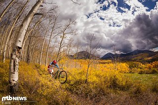 Für Einsatzbereiche von Trail bis Enduro eine perfekte Felge Für Einsatzbereiche von Trail bis Enduro eine perfekte Felge