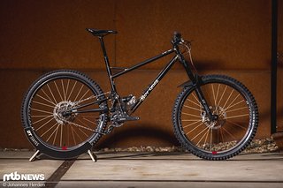 Scar Cycles HFS