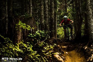 Mit Vollgas durch den Wald. An der Entwicklung der Diamond hat unter anderem Team-Fahrer Cedric Gracia mitgewirkt.