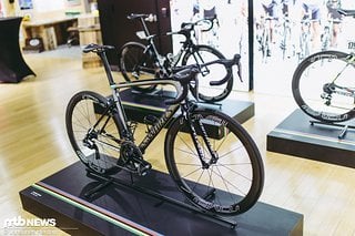 Der Rahmen des Specialized S-Works Tarmac wiegt gerade mal 733 Gramm in der 56 cm-Variante für Sagan