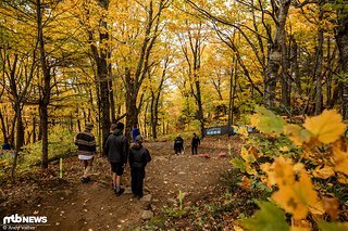 Nach dem recht flotten Start auf der Wiese geht's in den herbstlichen Wald.