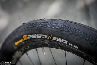 Das muss reichen: die etwas mehr als 1 mm langen Seitenstöllchen sind alles, was der Speed King in den Boden krallen kann