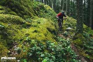 Verwinkeltes Endurogelände wie es im Buche steht Verwinkeltes Endurogelände wie es im Buche steht