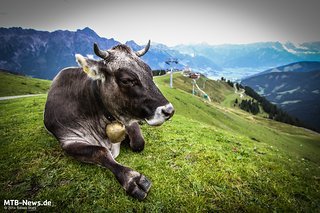 Noch ein Gruß aus den Bergen - bis zum nächsten Test! Noch ein Gruß aus den Bergen - bis zum nächsten Test!