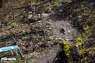 Gerade aus geht's in der A-Linie auf die berühmt-berüchtigten Holzelemente zu