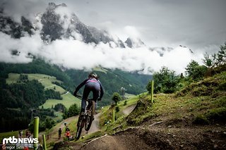 Der Wald in der Woods of Fame-Sektion ist vor einigen Jahren der Kettensäge zum Opfer gefallen