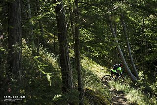 Entspannte Wald-Trails Entspannte Wald-Trails
