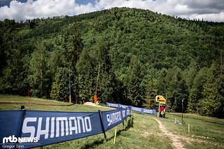 Ein Vollgas-Stück über die Skipiste führt in den finalen Wald, den wir bisher noch nicht begutachten konnten.