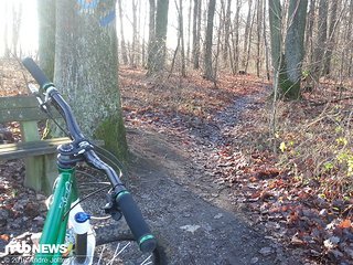 Das NS Bikes Eccentric Cromo am Traileinstieg der Referenzrunde Das NS Bikes Eccentric Cromo am Traileinstieg der Referenzrunde