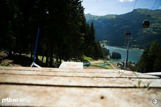 Noch mal etwas verarbeiteter Wald ...