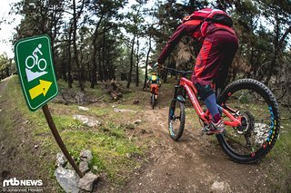Nach einer kurzen Forstpassage geht es in den zweiten Teil des Trails - und der hat es in sich