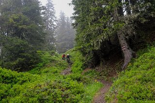 ... verwandelte sich der Weg in einen super-spaßigen Singletrail. ... verwandelte sich der Weg in einen super-spaßigen Singletrail.