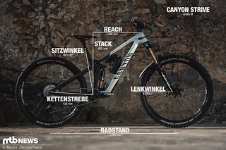 Canyon-Strive-Geometrie Canyon-Strive-Geometrie