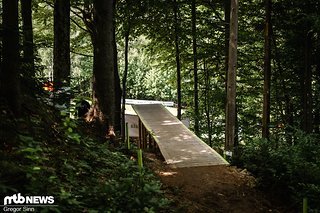 Eine lange Holzrampe führt über ein langes Gap aus dem Wald heraus.