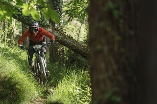 Vollgas-Geradaus-Sektionen sind mit dem Megatower eine wahre Freude Vollgas-Geradaus-Sektionen sind mit dem Megatower eine wahre Freude