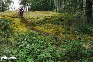 Ungewohnt sind die teilweise uneinsehbaren Abfahrten über bemooste Felsen. Ungewohnt sind die teilweise uneinsehbaren Abfahrten über bemooste Felsen.