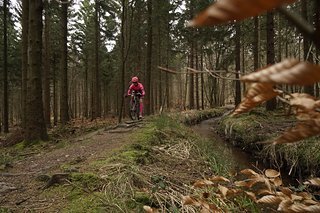 Ein Jammer, wenn solch ein Trail durch Wegebau oder fehlender Pflege verschwinden würde. Ein Jammer, wenn solch ein Trail durch Wegebau oder fehlender Pflege verschwinden würde.