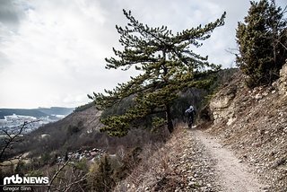 Neben Kraft- ist auch Grundlagen und Ausdauertraining im Winter extrem wichtig Neben Kraft- ist auch Grundlagen und Ausdauertraining im Winter extrem wichtig