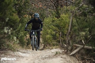 Bergauf macht das Canyon Strive eine sehr gute Figur Bergauf macht das Canyon Strive eine sehr gute Figur