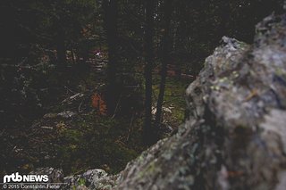 Allein durch die Wälder von Andorra...