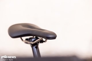 Die Sattelnase ist verhältnismäßig kurz und flach. Die Sattelnase ist verhältnismäßig kurz und flach.