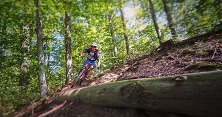 Spaßige Lines im lockeren Laubwald