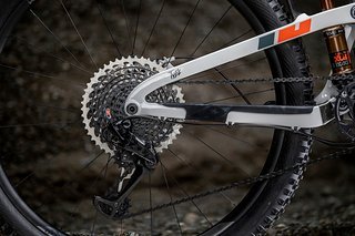 Die Kettenstreben des Propain Tyee Carbon messen 445 mm.