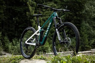 Canyon Strive CFR TLD Canyon Strive CFR TLD
