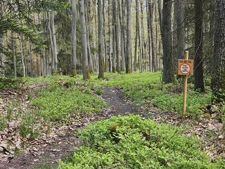 Die fünf Trails sind naturbelassen und sollen bestens für alle Könnerstufen geeignet sein.