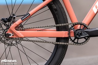 Halflink-Kette und Truvativ Descendant-Kurbeln – und ein schickes SRAM-Kettenblatt. Halflink-Kette und Truvativ Descendant-Kurbeln – und ein schickes SRAM-Kettenblatt.