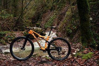 Das Specialized Epic im goldenen Herbst