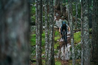 PNW-typische Felsplatten: Check! PNW-typische Felsplatten: Check!