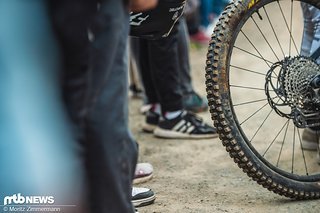 Dichtmilchverlust stand hier an der Tagesordnung. Dichtmilchverlust stand hier an der Tagesordnung.