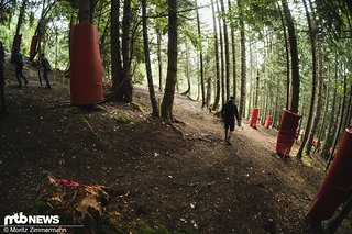 Der Wald vom See dürfte eine der Schlüsselstellen werden, schließlich ist es hier eher flach und am See entlang folgt ein langer Sprint.