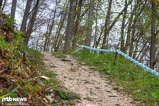 Die reguläre Runde schweift nach rechts ab und verschwindet zunächst in den Tiefen des Albstädter Walds