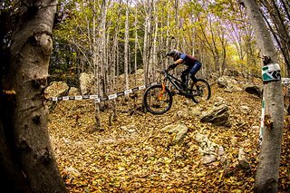 Die Wälder in Finale sind schon ganz schön herbstlich!