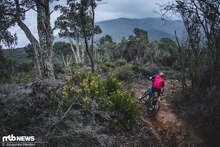 Perfekte Testbedingungen im italienischen Mountainbike-Paradies Punta Ala