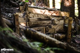 Wer auch immer in den vergangenen Wochen eine komplette Treppe neben dem Streckenrand gebaut hat, ist ein wirklich edler Mensch. Danke!