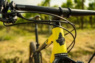 Ein Großteil der Anbauteile inklusive Cockpit stammt aus dem Hause Newmen Ein Großteil der Anbauteile inklusive Cockpit stammt aus dem Hause Newmen