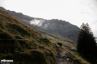 Nach den ersten wilden Metern traversiert die Strecke für einige Sekunden quer über eine Wiese in die nächste Sektion.